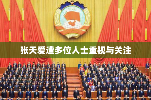 张天爱遭多位人士重视与关注