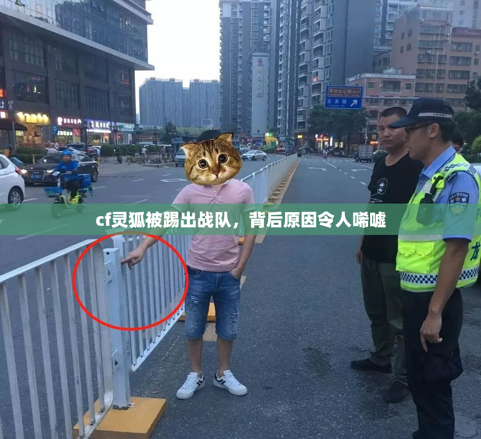 cf灵狐被踢出战队，背后原因令人唏嘘