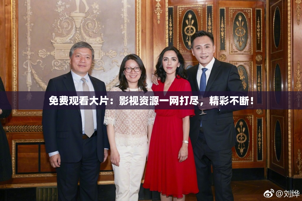 免费观看大片：影视资源一网打尽，精彩不断！
