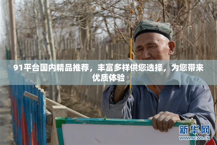 91平台国内精品推荐，丰富多样供您选择，为您带来优质体验