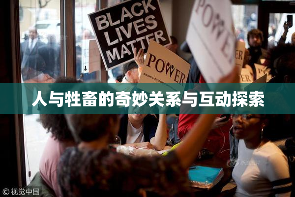 人与牲畜的奇妙关系与互动探索