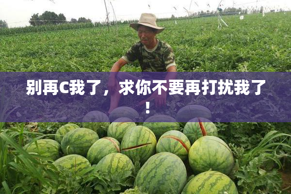 别再C我了，求你不要再打扰我了！
