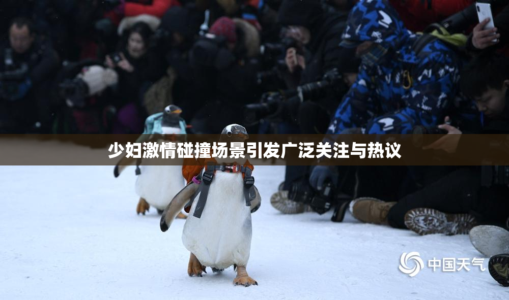 少妇激情碰撞场景引发广泛关注与热议