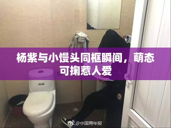 杨紫与小馒头同框瞬间，萌态可掬惹人爱