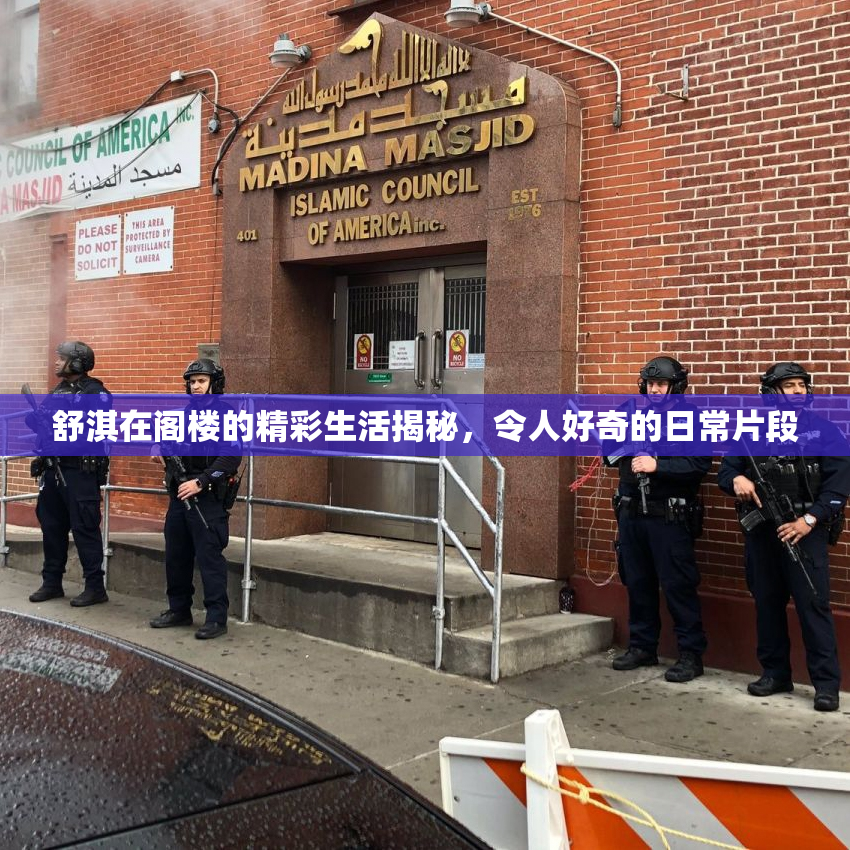 舒淇在阁楼的精彩生活揭秘，令人好奇的日常片段