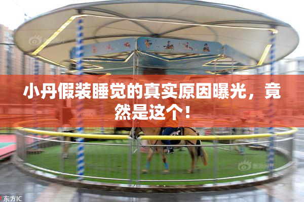小丹假装睡觉的真实原因曝光，竟然是这个！