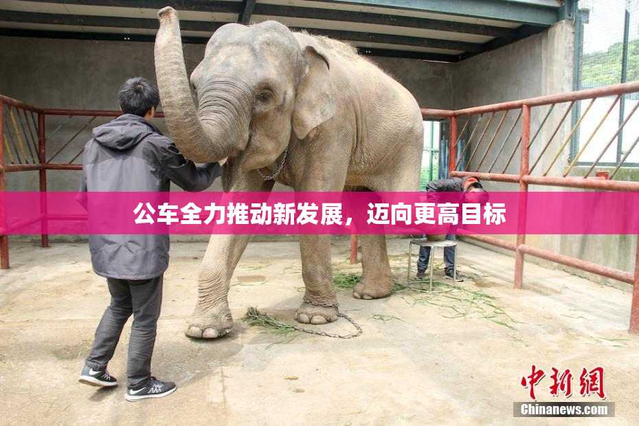 公车全力推动新发展，迈向更高目标