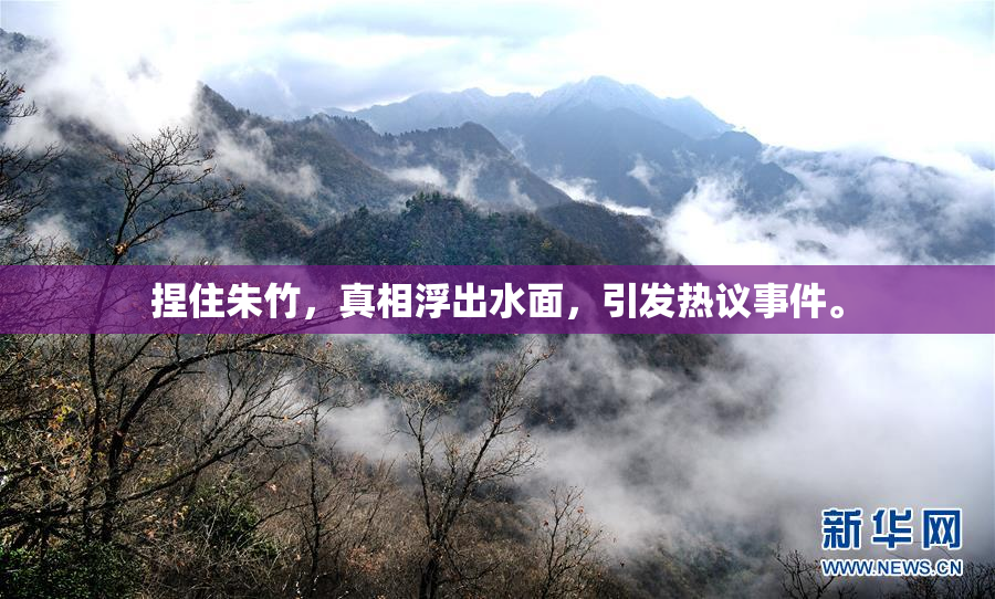 捏住朱竹，真相浮出水面，引发热议事件。