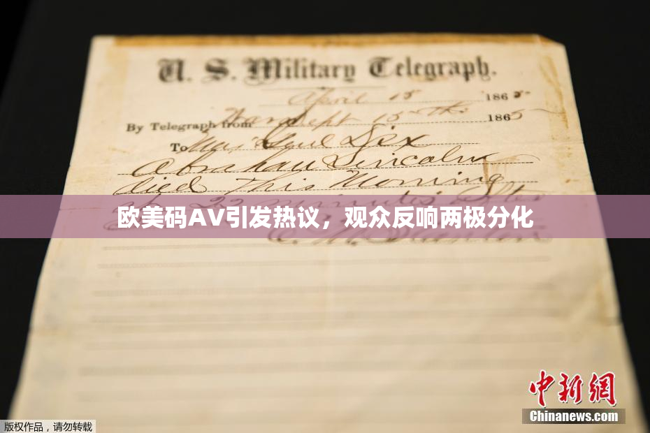 欧美码AV引发热议，观众反响两极分化
