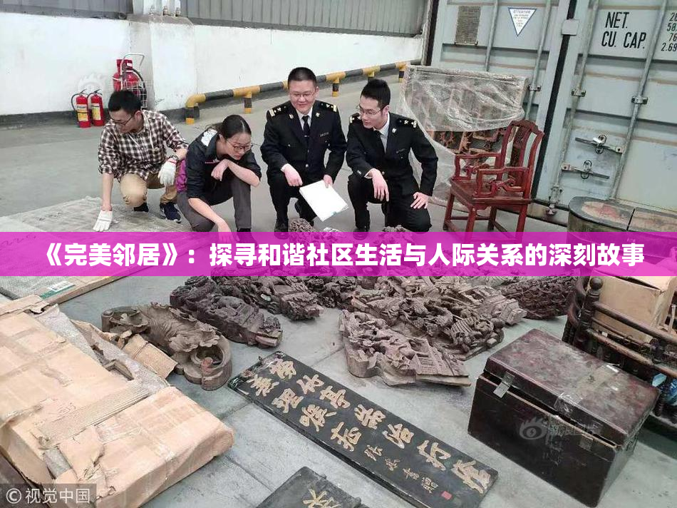 《完美邻居》：探寻和谐社区生活与人际关系的深刻故事
