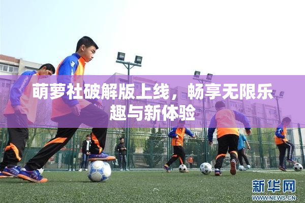 萌萝社破解版上线，畅享无限乐趣与新体验
