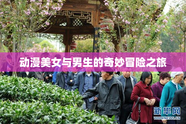 动漫美女与男生的奇妙冒险之旅