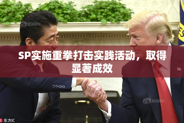 SP实施重拳打击实践活动，取得显著成效