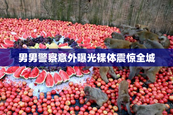 男男警察意外曝光裸体震惊全城