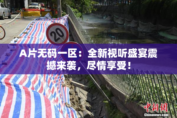 A片无码一区：全新视听盛宴震撼来袭，尽情享受！