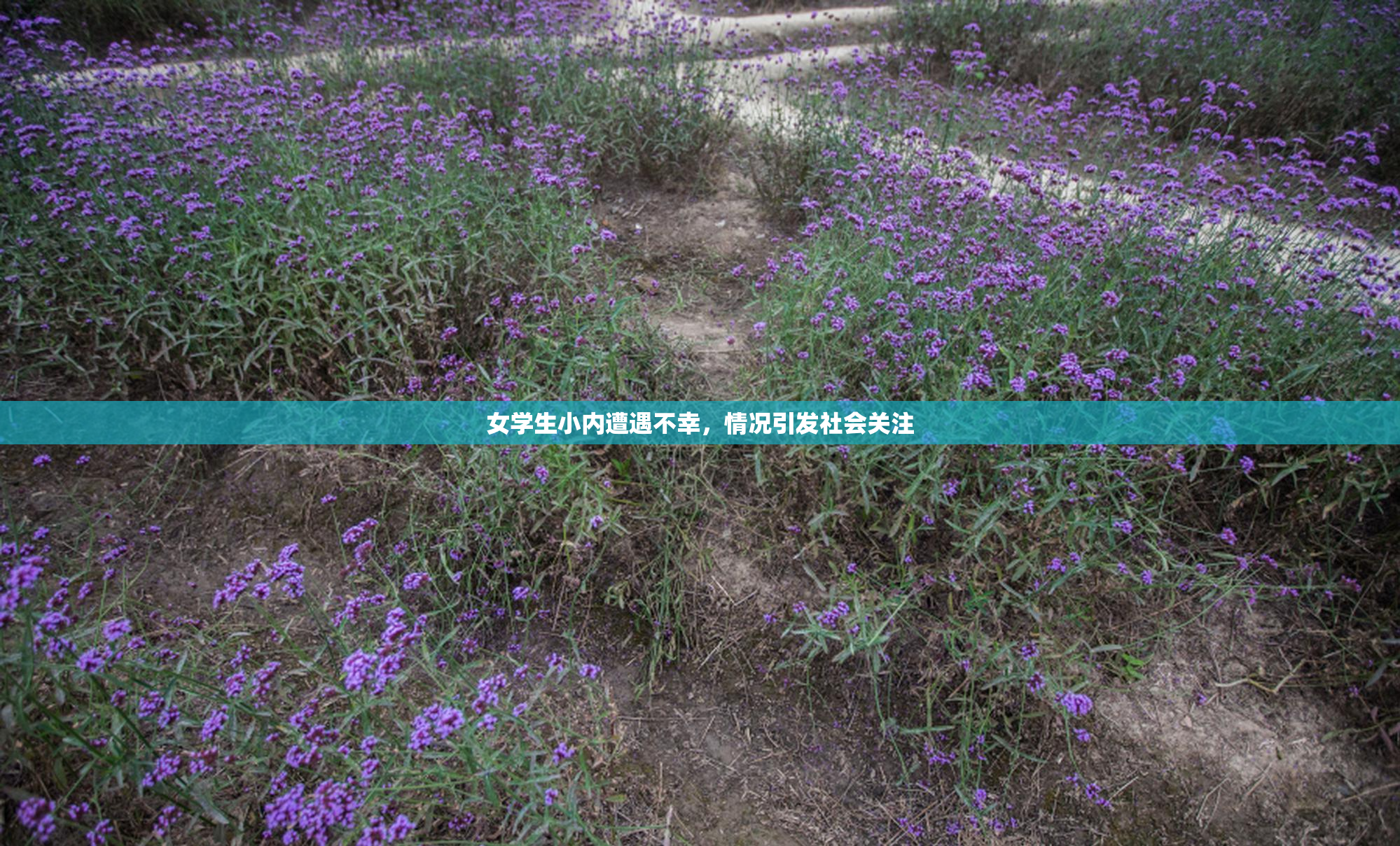 女学生小内遭遇不幸，情况引发社会关注