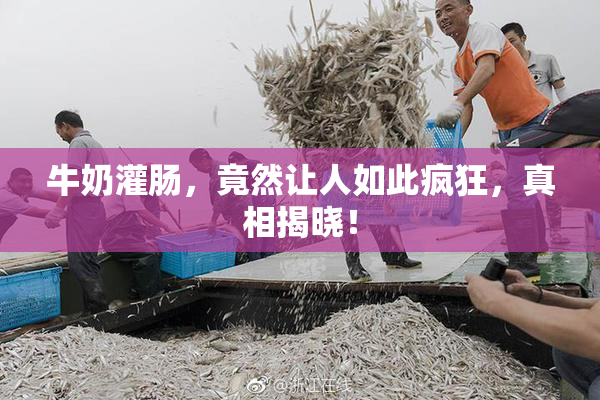 牛奶灌肠，竟然让人如此疯狂，真相揭晓！