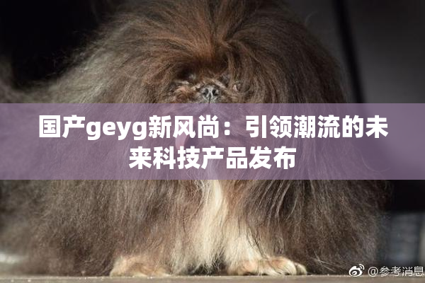 国产geyg新风尚：引领潮流的未来科技产品发布