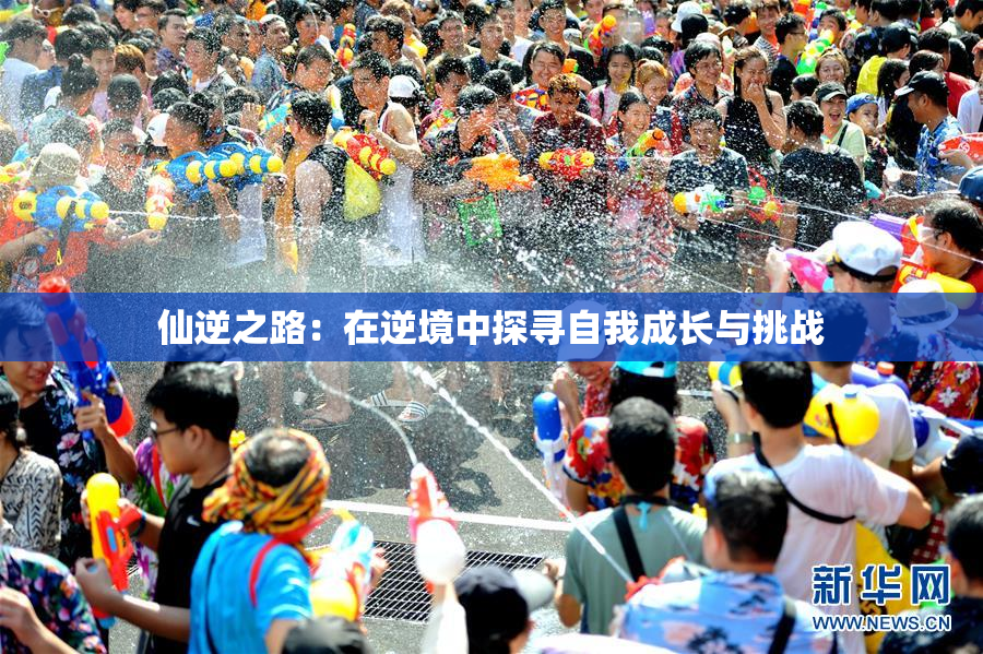 仙逆之路：在逆境中探寻自我成长与挑战