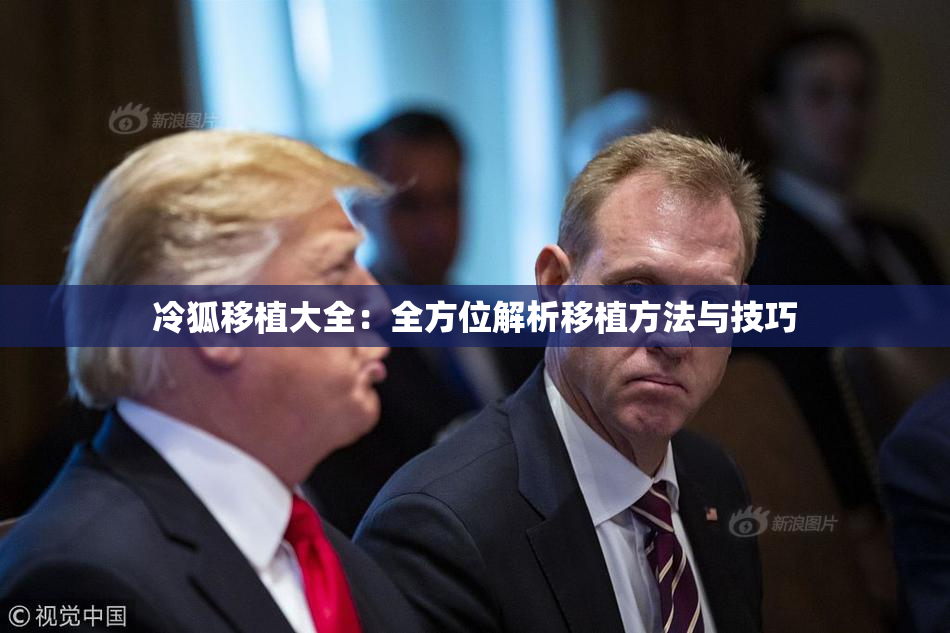 冷狐移植大全：全方位解析移植方法与技巧