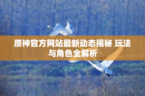 原神官方网站最新动态揭秘 玩法与角色全解析