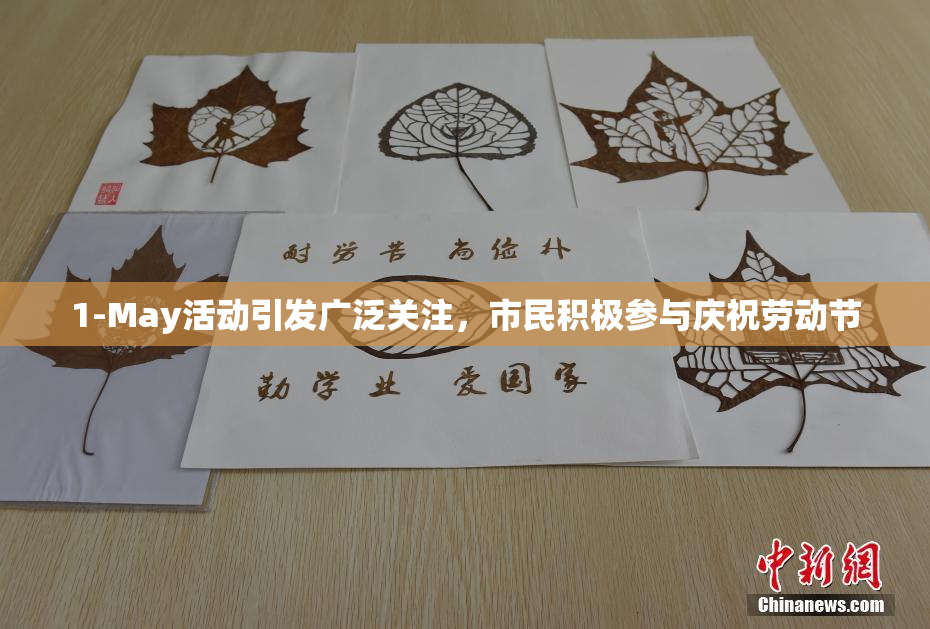 1-May活动引发广泛关注，市民积极参与庆祝劳动节