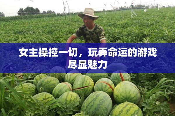 女主操控一切，玩弄命运的游戏尽显魅力