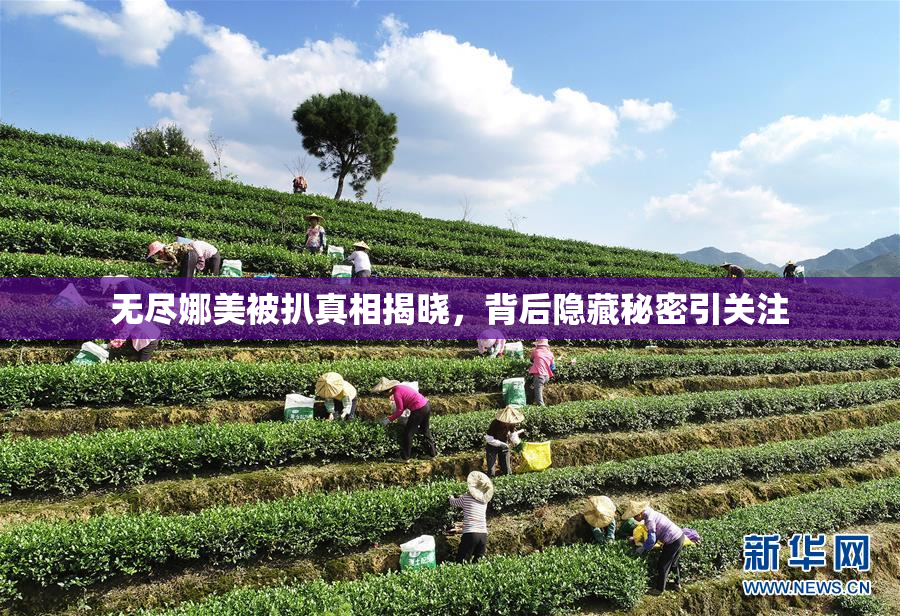 无尽娜美被扒真相揭晓，背后隐藏秘密引关注