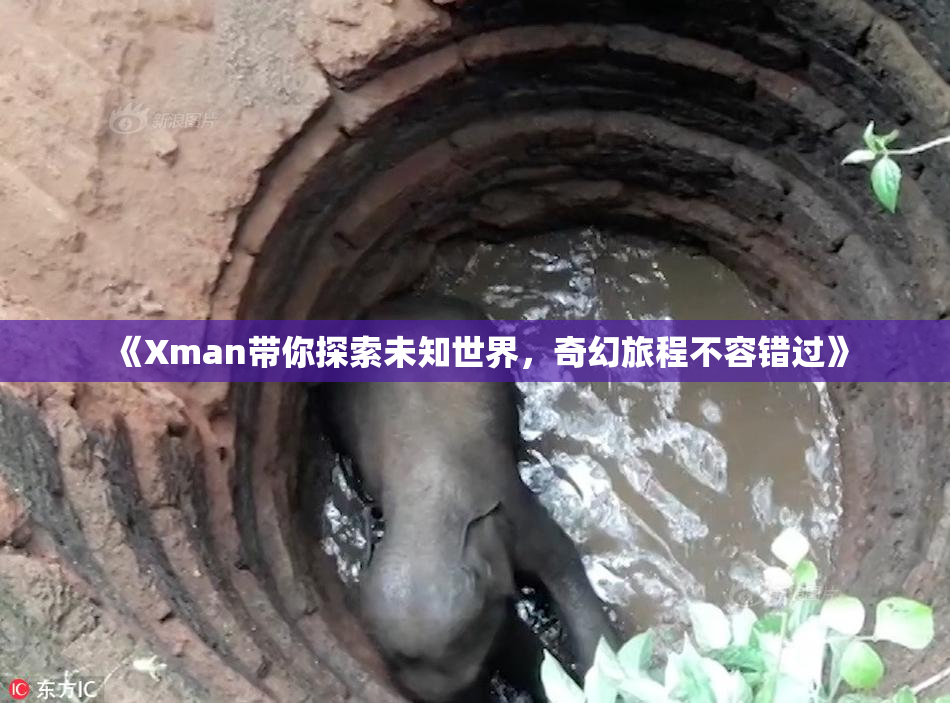 《Xman带你探索未知世界，奇幻旅程不容错过》