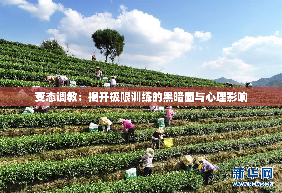 变态调教：揭开极限训练的黑暗面与心理影响