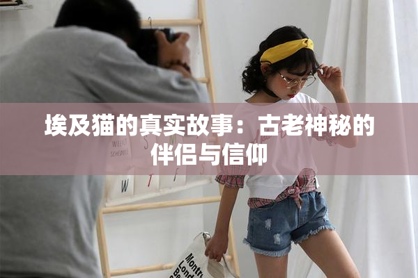 埃及猫的真实故事：古老神秘的伴侣与信仰