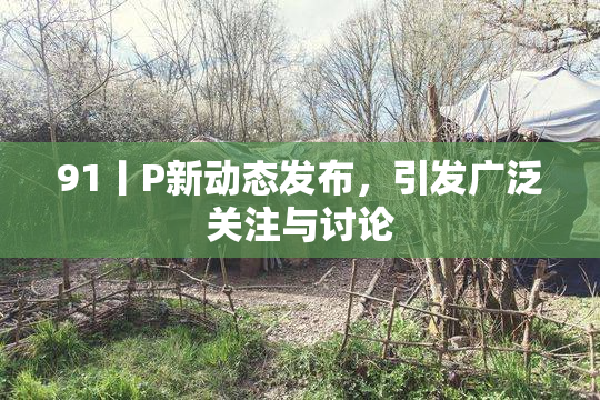 91丨P新动态发布，引发广泛关注与讨论