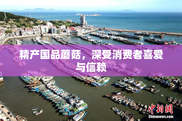 精产国品蘑菇，深受消费者喜爱与信赖