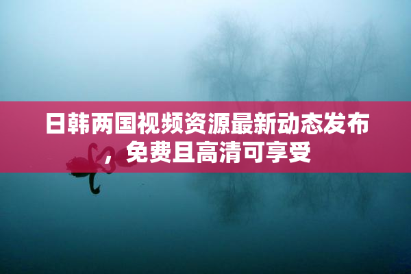 日韩两国视频资源最新动态发布，免费且高清可享受