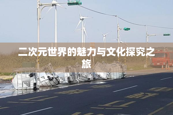 二次元世界的魅力与文化探究之旅