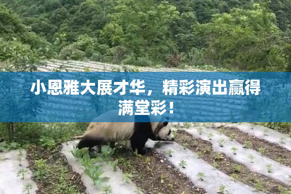 小恩雅大展才华，精彩演出赢得满堂彩！
