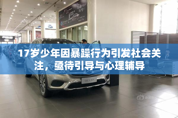17岁少年因暴躁行为引发社会关注，亟待引导与心理辅导