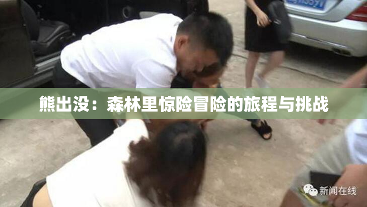熊出没：森林里惊险冒险的旅程与挑战