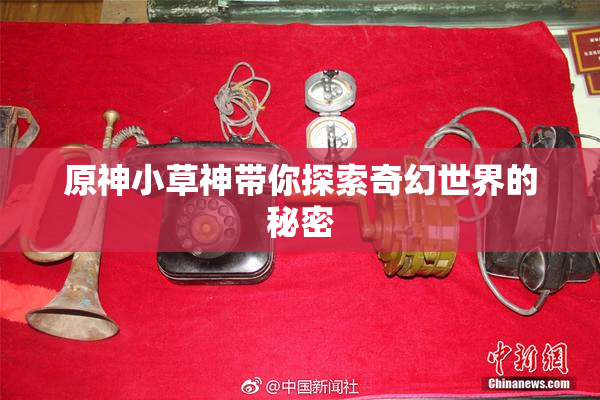 原神小草神带你探索奇幻世界的秘密