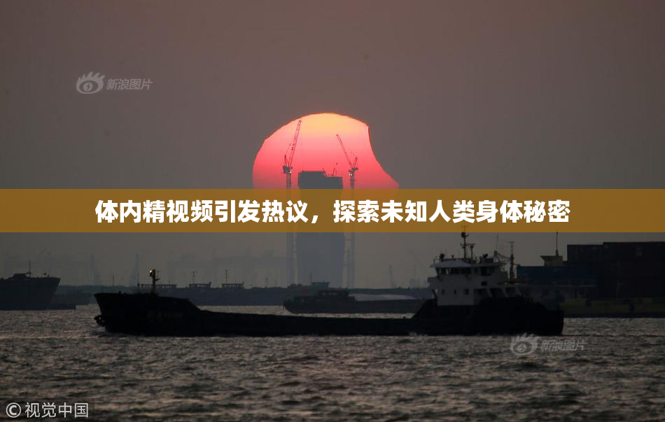体内精视频引发热议，探索未知人类身体秘密