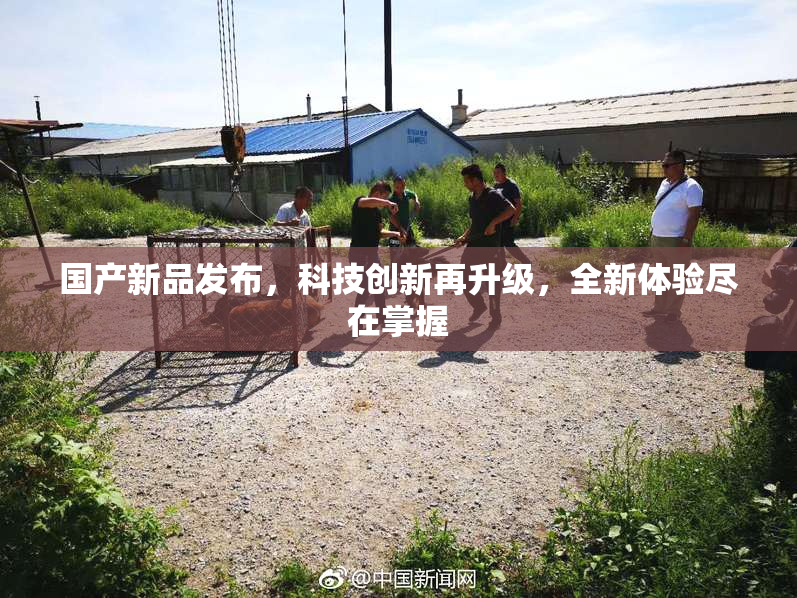 国产新品发布，科技创新再升级，全新体验尽在掌握