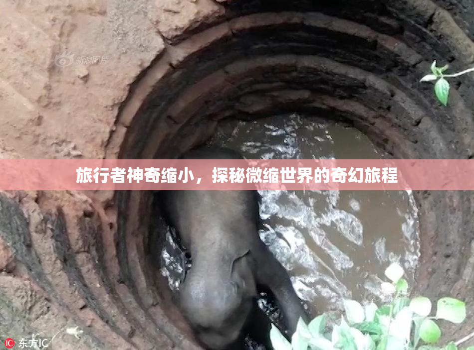 旅行者神奇缩小，探秘微缩世界的奇幻旅程