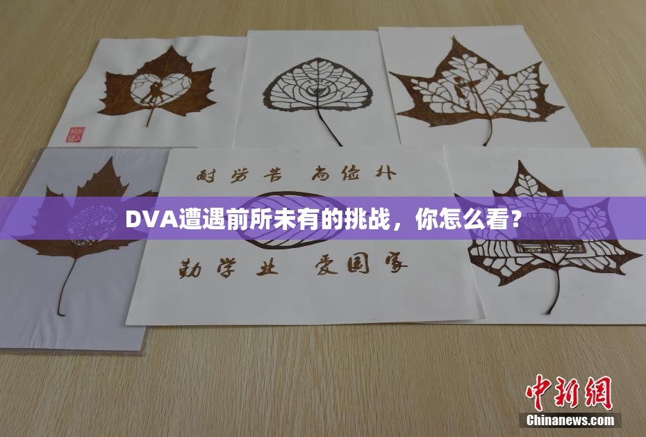 DVA遭遇前所未有的挑战，你怎么看？