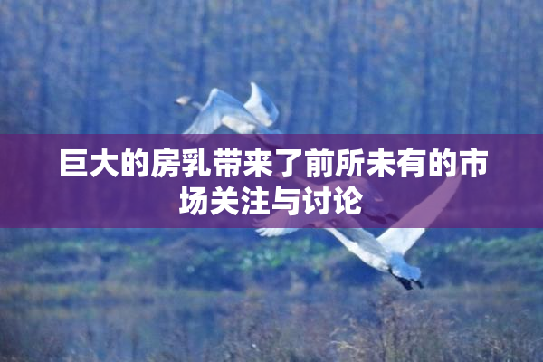 巨大的房乳带来了前所未有的市场关注与讨论