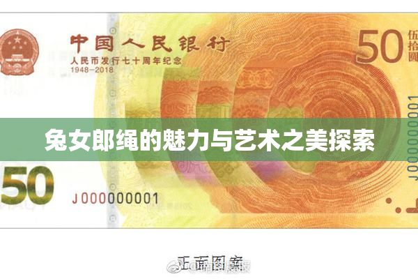 兔女郎绳的魅力与艺术之美探索
