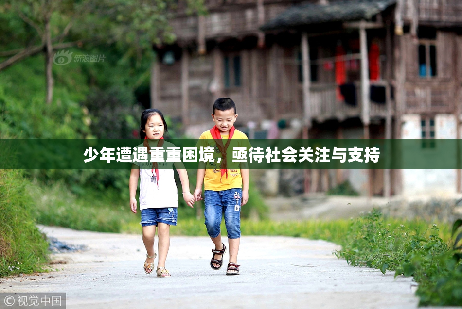 少年遭遇重重困境，亟待社会关注与支持