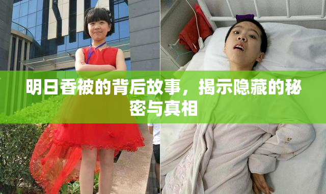 明日香被的背后故事，揭示隐藏的秘密与真相
