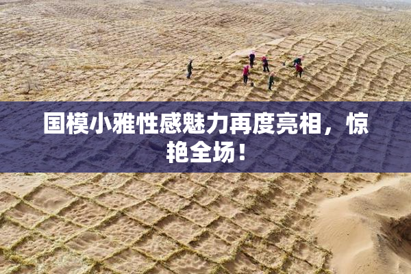 国模小雅性感魅力再度亮相，惊艳全场！
