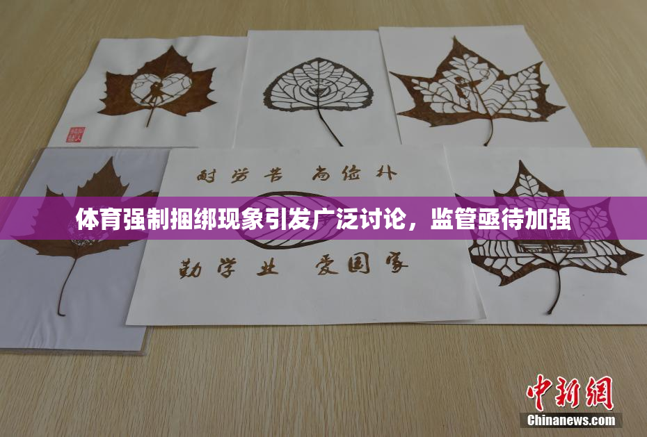 体育强制捆绑现象引发广泛讨论，监管亟待加强