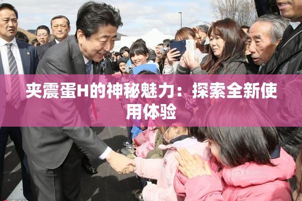 夹震蛋H的神秘魅力：探索全新使用体验